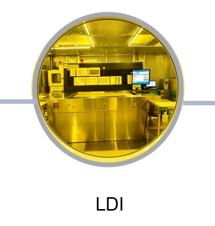 LDI